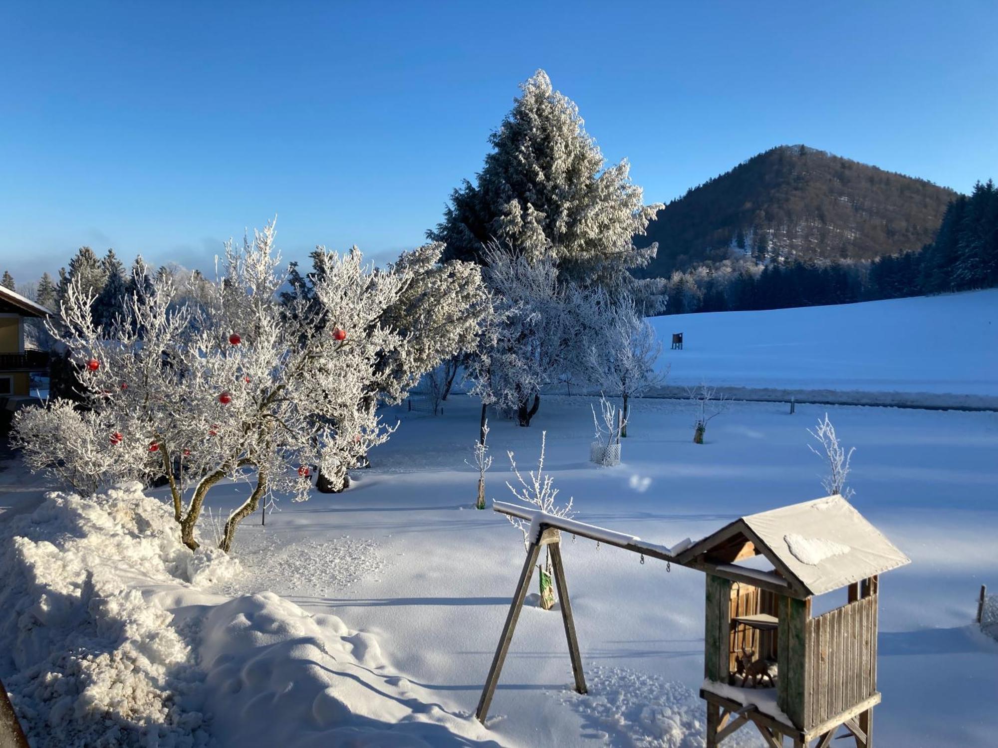Obereggut Leilighet Hof bei Salzburg Eksteriør bilde